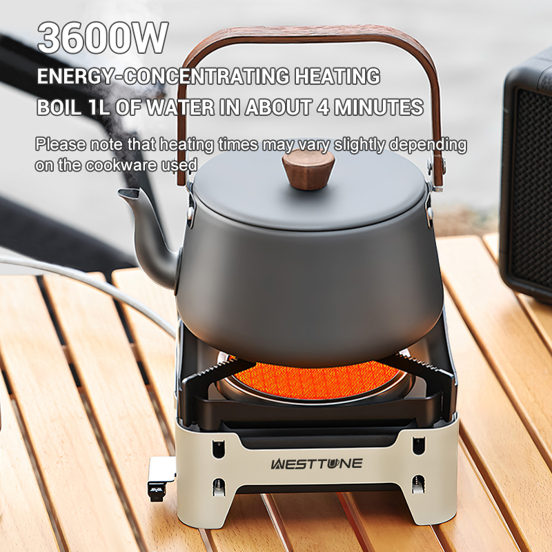 WESTTUNE Outdoor Infrared Comb - مراجعة Commercial Kitchen Gas Stove وسعره